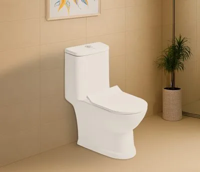 Hindware Royale vitreous china one-piece toilet WC