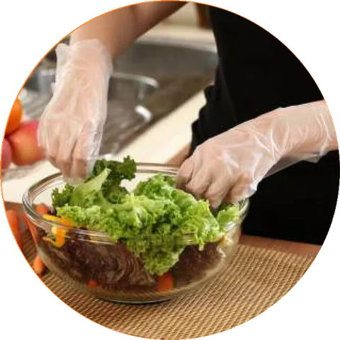 OSCARS CPE Cast polyethylene gloves