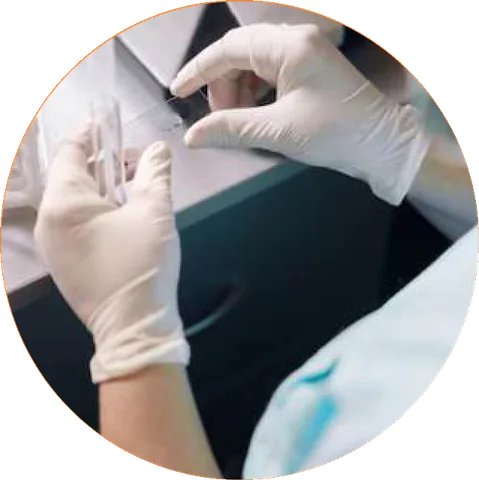 OSCARS Latex Examination gloves