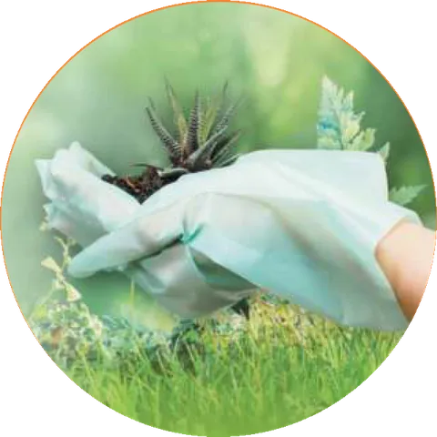 OSCARS TPE Thermoplastic elastomer gloves