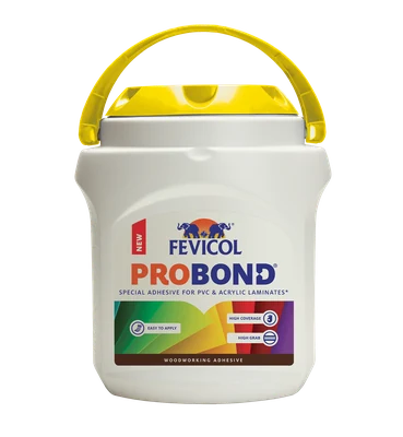 Fevicol Probond special adhesive for laminates pack
